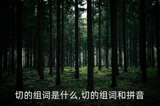 切近,反切是什么意思?