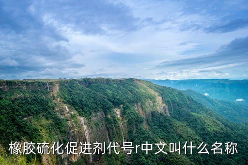 代號R，橡膠硫化促進劑代號r中文叫什么名稱