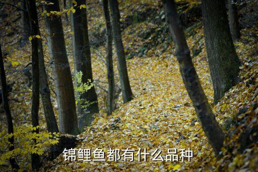 錦鯉魚，錦鯉魚都有什么品種