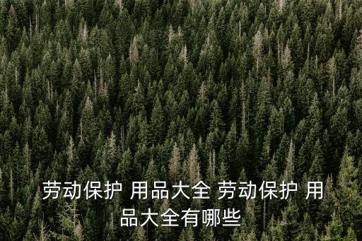 勞動用品,8.密目安全網(wǎng):防護用品包括防護眼罩和護肩用具