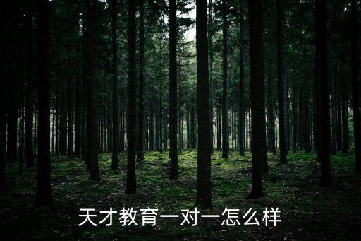 天才教育一對一怎么樣