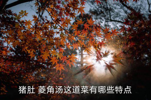菱角湯,一文看懂!帶殼菱角湯的做法有哪些?