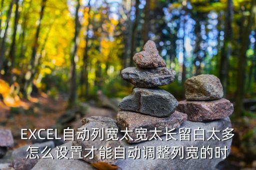 EXCEL自動列寬太寬太長留白太多怎么設置才能自動調整列寬的時
