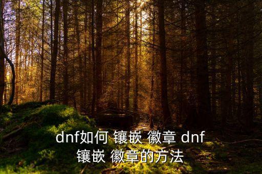 dnf鑲嵌徽章,如何在家中找到隱藏的徽章?