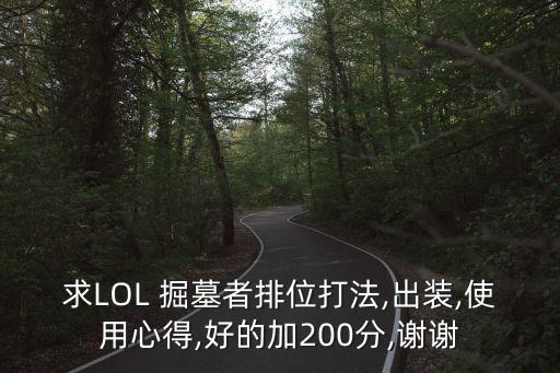 lol掘墓者,英雄聯(lián)盟掘墓者怎么玩?需要什么條件?