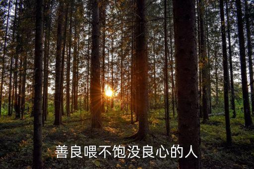 善良喂不飽沒良心的人