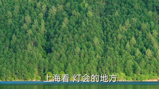  上海看 燈會的地方