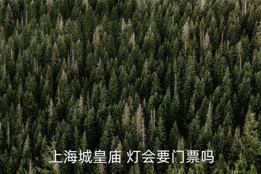  上海城皇廟 燈會要門票嗎