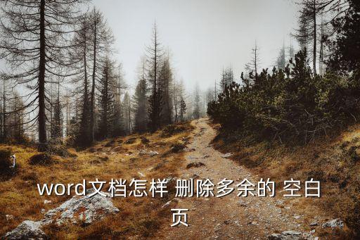 word文檔怎樣 刪除多余的 空白頁