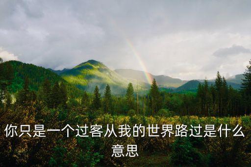 你只是一個(gè)過(guò)客從我的世界路過(guò)是什么意思