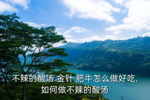 金針肥牛,金針搭配肥牛,金針牛扒仔飯怎么做?
