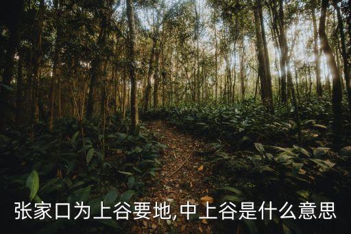 張家口市政府,張家口市人民政府簡介