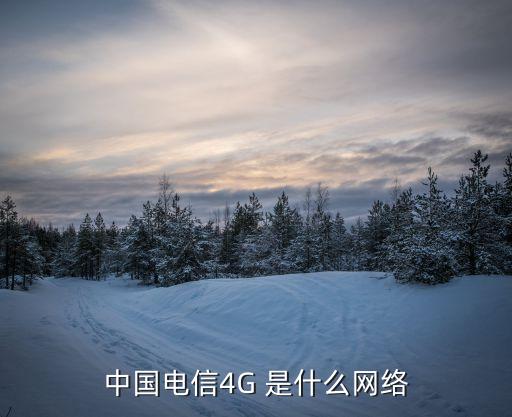 天翼4g,中國電信天翼4g4g有什么區別?
