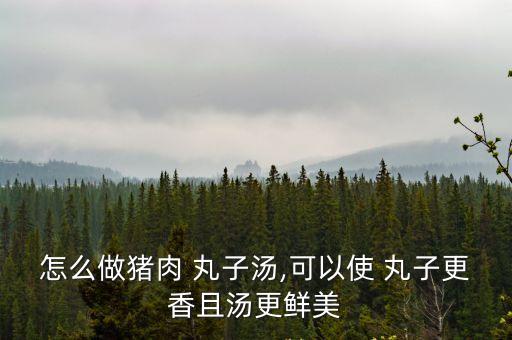 青菜丸子湯,怎么做牛肉丸子湯?小白菜切段即可