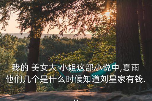 美女大小姐,第三百四十三章飛來子彈!