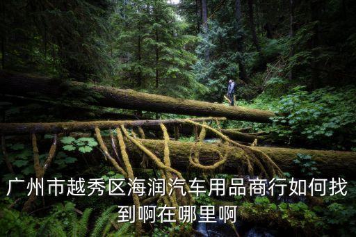 廣州北汽智達x34s店，北汽廣州分公司生產什么車