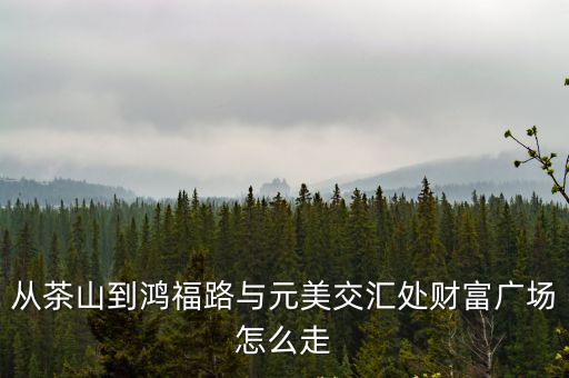 從茶山到鴻福路與元美交匯處財富廣場怎么走