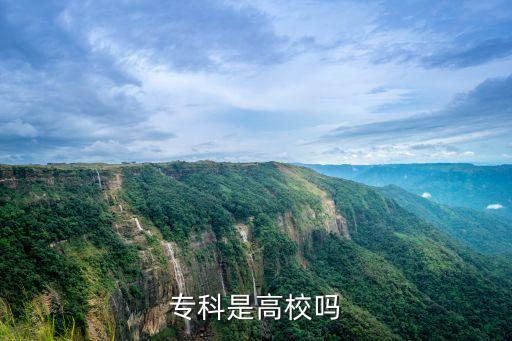 專科是高校嗎