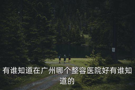 廣州那個整容醫(yī)院好速到美來善長，打聽下各位在廣州哪個整容醫(yī)院好 分享下