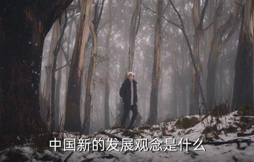 新發展理念，新發展理念的內涵是什么