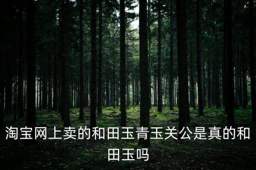 淘寶網上賣的和田玉青玉關公是真的和田玉嗎