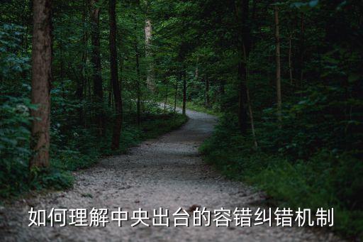 容錯(cuò)糾錯(cuò)，十八屆六中全會(huì)指出建立容錯(cuò)糾錯(cuò)機(jī)制寬容干部在工作中特別是什