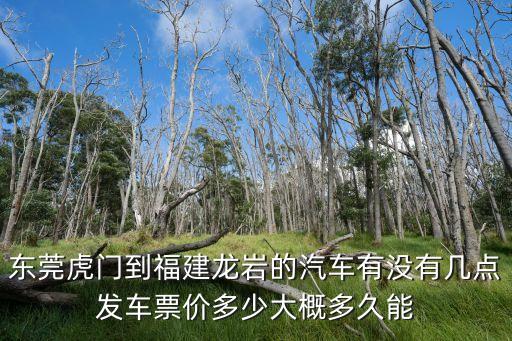 東莞虎門到福建龍巖的汽車有沒(méi)有幾點(diǎn)發(fā)車票價(jià)多少大概多久能