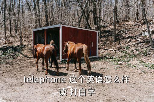 telephone 這個英語怎么樣讀 打白字