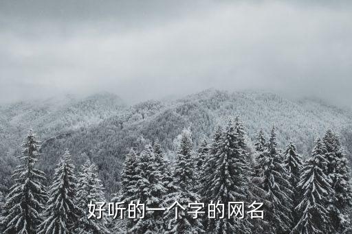 好聽的一個字的網名