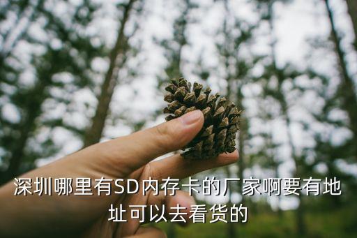 深圳哪里有SD內存卡的廠家啊要有地址可以去看貨的
