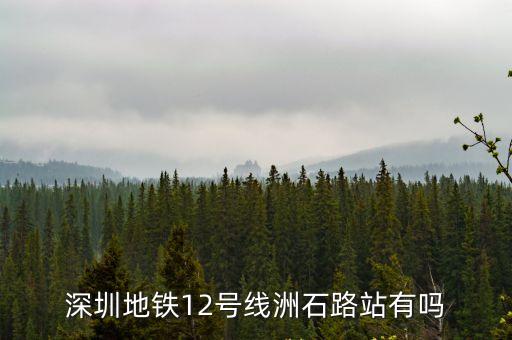 深圳地鐵12號(hào)線(xiàn)洲石路站有嗎
