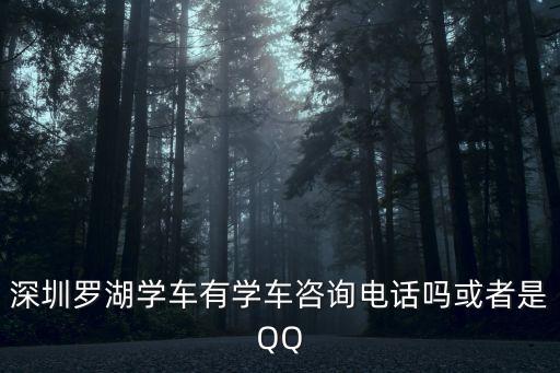 深圳羅湖學車有學車咨詢電話嗎或者是QQ