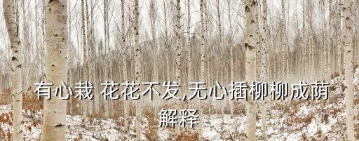  有心栽 花花不發(fā),無心插柳柳成蔭解釋