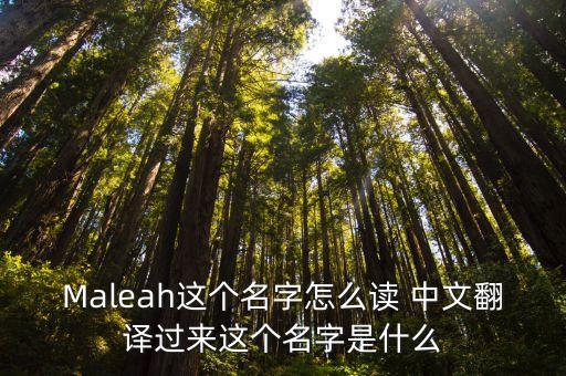 瑪麗雅，Maleah這個(gè)名字怎么讀 中文翻譯過來這個(gè)名字是什么