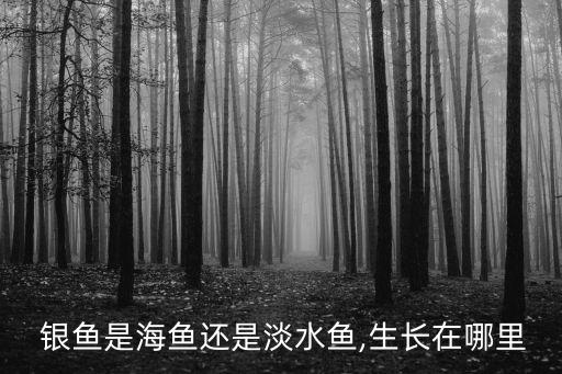 鄱陽湖銀魚