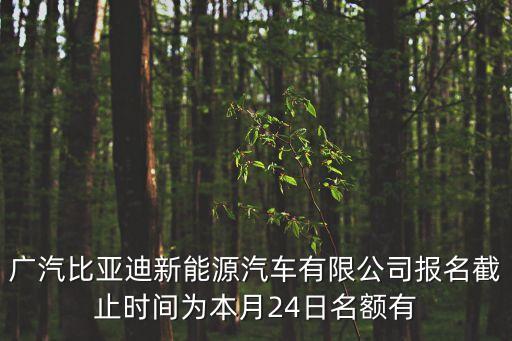 廣州新能源汽車占名額嗎，廣州新能源車都有哪些