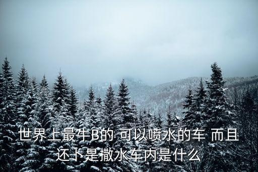 世界上最牛B的 可以噴水的車 而且還卜是撒水車內是什么