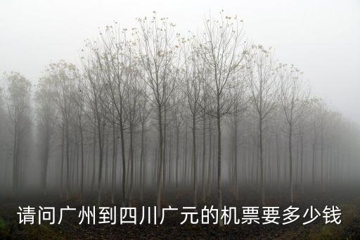 廣元到廣州飛機多少錢，廣元到廣東飛機票是多少錢啊