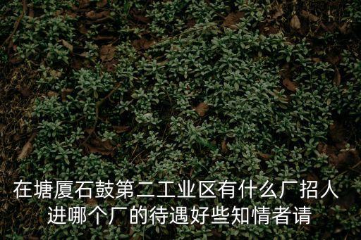 在塘廈石鼓第二工業(yè)區(qū)有什么廠招人 進哪個廠的待遇好些知情者請