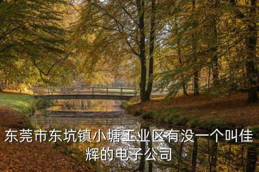 東莞佳輝建材腳手架，建筑加固公司在廣東一帶的哪一家專業權威第一的