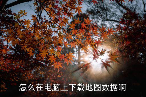 數據地圖，怎么在電腦上下載地圖數據啊