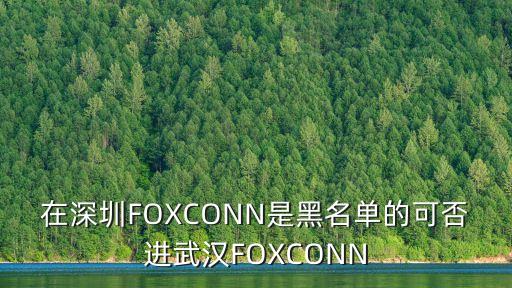 在深圳FOXCONN是黑名單的可否進武漢FOXCONN