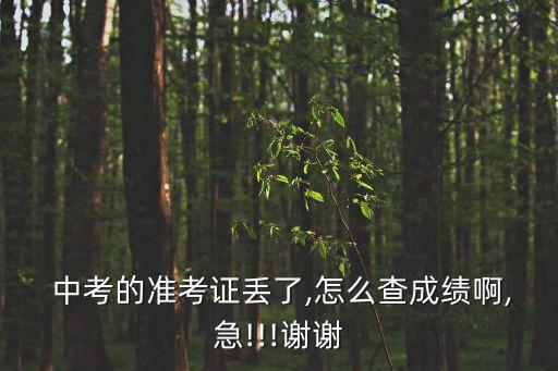 中考準(zhǔn)考證號(hào)查詢,中考準(zhǔn)考證丟了怎么查成績(jī)?