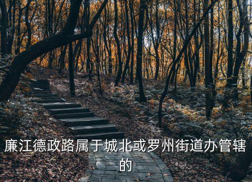 廉江德政路屬于城北或羅州街道辦管轄的