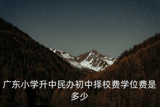 廣東小學升中民辦初中擇校費學位費是多少