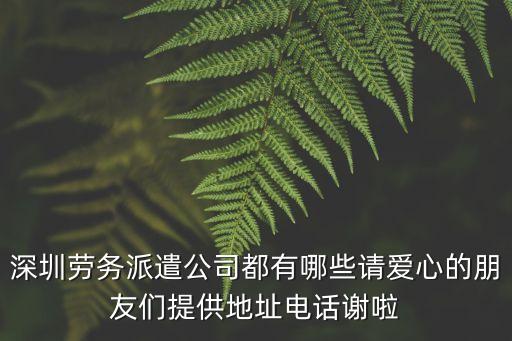 深圳興旺派遣公司，深圳有哪幾家勞務(wù)派遣公司