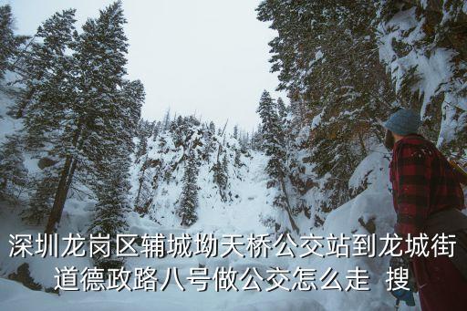 深圳龍崗區輔城坳天橋公交站到龍城街道德政路八號做公交怎么走  搜