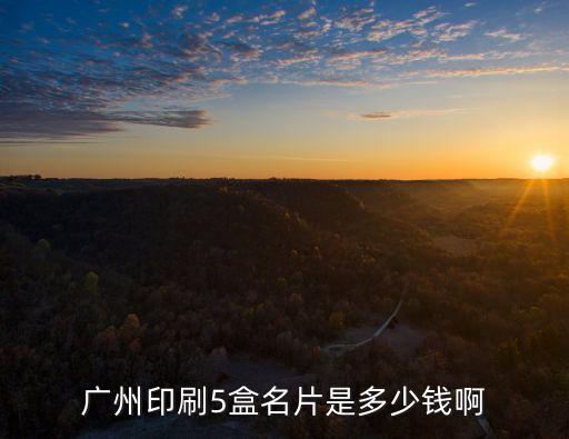 廣州印刷5盒名片是多少錢啊