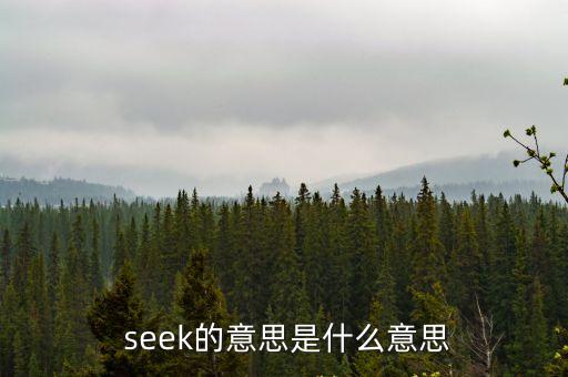  seek的意思是什么意思