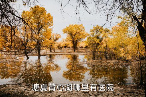 塘夏莆心湖哪里有醫(yī)院